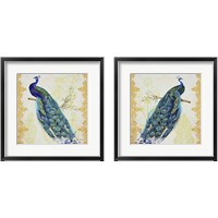 Framed 'Beautiful Peacock 2 Piece Framed Art Print Set' border=