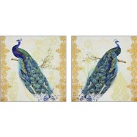 Framed 'Beautiful Peacock 2 Piece Art Print Set' border=