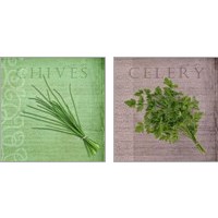 Framed 'Classic Herbs  2 Piece Art Print Set' border=