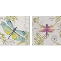 Framed 'Botanical Dragonfly 2 Piece Art Print Set' border=