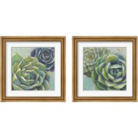 Framed Succulents  2 Piece Framed Art Print Set