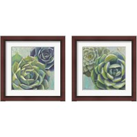 Framed 'Succulents  2 Piece Framed Art Print Set' border=