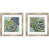 Framed Succulents  2 Piece Framed Art Print Set