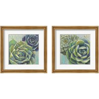 Framed Succulents  2 Piece Framed Art Print Set