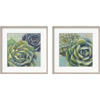 Framed 'Succulents  2 Piece Framed Art Print Set' border=