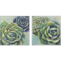 Framed Succulents  2 Piece Art Print Set