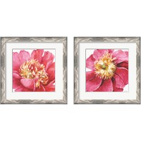 Framed 'Pink Garden 2 Piece Framed Art Print Set' border=