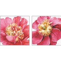 Framed Pink Garden 2 Piece Art Print Set