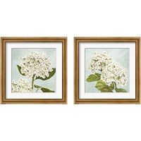 Framed Hydrangeas Aqua 2 Piece Framed Art Print Set