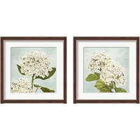 Framed 'Hydrangeas Aqua 2 Piece Framed Art Print Set' border=