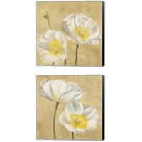 Framed Poppies on Gold 2 Piece Canvas Print Set