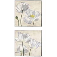 Framed Poppies in White 2 Piece Canvas Print Set