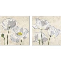 Framed Poppies in White 2 Piece Art Print Set