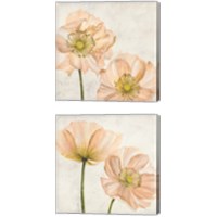 Framed 'Poppies in Pink 2 Piece Canvas Print Set' border=