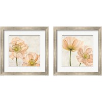 Framed Poppies in Pink 2 Piece Framed Art Print Set