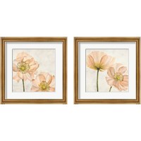 Framed 'Poppies in Pink 2 Piece Framed Art Print Set' border=