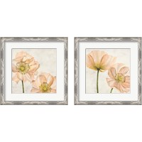 Framed 'Poppies in Pink 2 Piece Framed Art Print Set' border=