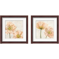 Framed Poppies in Pink 2 Piece Framed Art Print Set