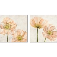 Framed Poppies in Pink 2 Piece Art Print Set