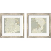 Framed 'Sea Coral 2 Piece Framed Art Print Set' border=