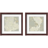 Framed 'Sea Coral 2 Piece Framed Art Print Set' border=
