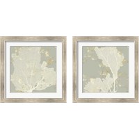 Framed 'Sea Coral 2 Piece Framed Art Print Set' border=