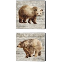 Framed Crossing Bear 2 Piece Canvas Print Set