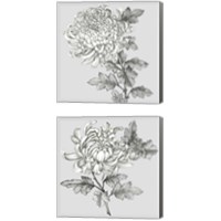 Framed Grey Botanical 2 Piece Canvas Print Set