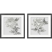 Framed 'Grey Botanical 2 Piece Framed Art Print Set' border=