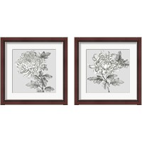 Framed Grey Botanical 2 Piece Framed Art Print Set