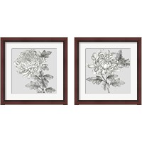 Framed 'Grey Botanical 2 Piece Framed Art Print Set' border=