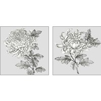 Framed 'Grey Botanical 2 Piece Art Print Set' border=