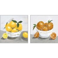 Framed 'Oranges & Lemons 2 Piece Art Print Set' border=