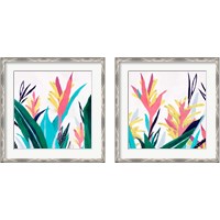 Framed 'Alpinia  2 Piece Framed Art Print Set' border=