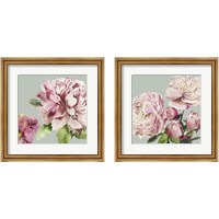 Framed 'Pink Peony 2 Piece Framed Art Print Set' border=