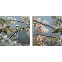 Framed 'Silver Light Florals 2 Piece Art Print Set' border=
