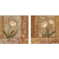 Framed 'Morning Floral 2 Piece Art Print Set' border=