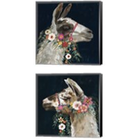 Framed 'Lovely Llama 2 Piece Canvas Print Set' border=