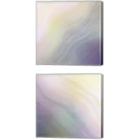 Framed 'Abalone Haze  2 Piece Canvas Print Set' border=
