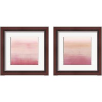 Framed 'Apricot Ombre 2 Piece Framed Art Print Set' border=