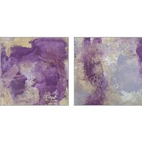 Framed 'Winters Garden 2 Piece Art Print Set' border=