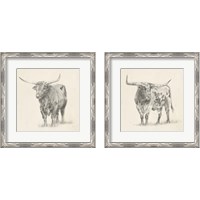 Framed Longhorn Steer Sketch 2 Piece Framed Art Print Set