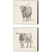 Framed Longhorn Steer Sketch 2 Piece Canvas Print Set