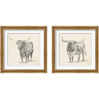 Framed Longhorn Steer Sketch 2 Piece Framed Art Print Set