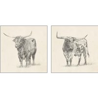 Framed Longhorn Steer Sketch 2 Piece Art Print Set
