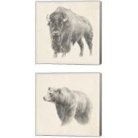 Framed 'Western Bear Study 2 Piece Canvas Print Set' border=