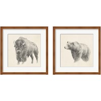 Framed 'Western Bear Study 2 Piece Framed Art Print Set' border=