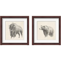Framed Western Bear Study 2 Piece Framed Art Print Set