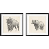 Framed 'Western Bear Study 2 Piece Framed Art Print Set' border=