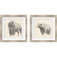 Framed 'Western Bear Study 2 Piece Framed Art Print Set' border=